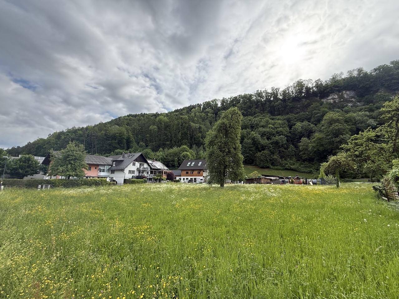 Sonnige Wiesenlandschaft mit Häusern am Fuße eines bewaldeten Hügels unter einem dramatischen Himmel.