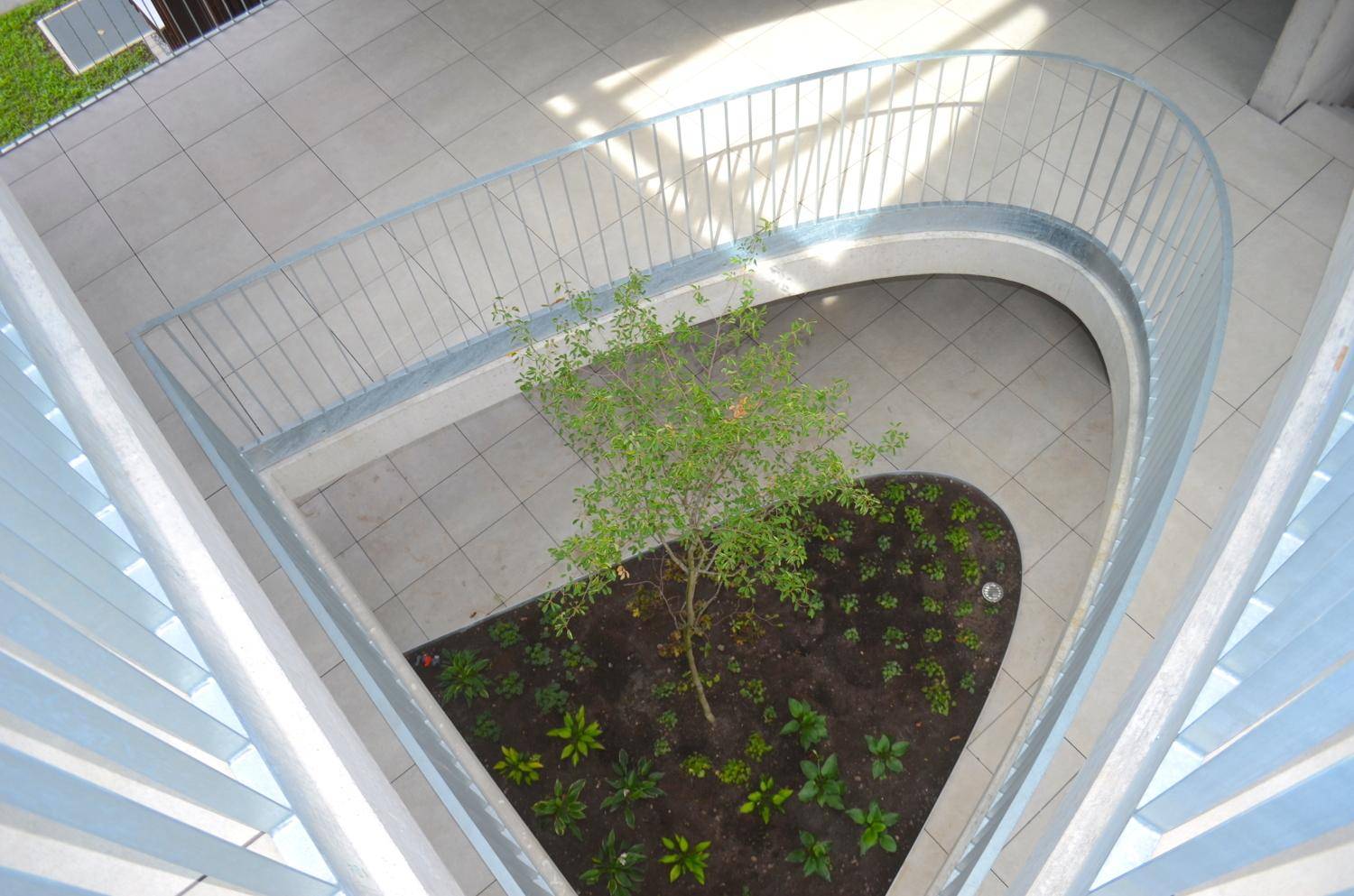 Blick von oben in einen begrünten Innenhof mit jungem Baum und moderner Architektur.