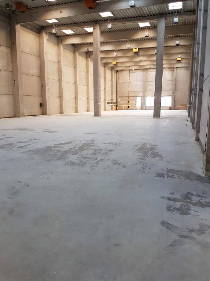 Geräumige, leere Lagerhalle mit hohen Decken, Betonboden und natürlichem Lichteinfall durch Oberlichter.