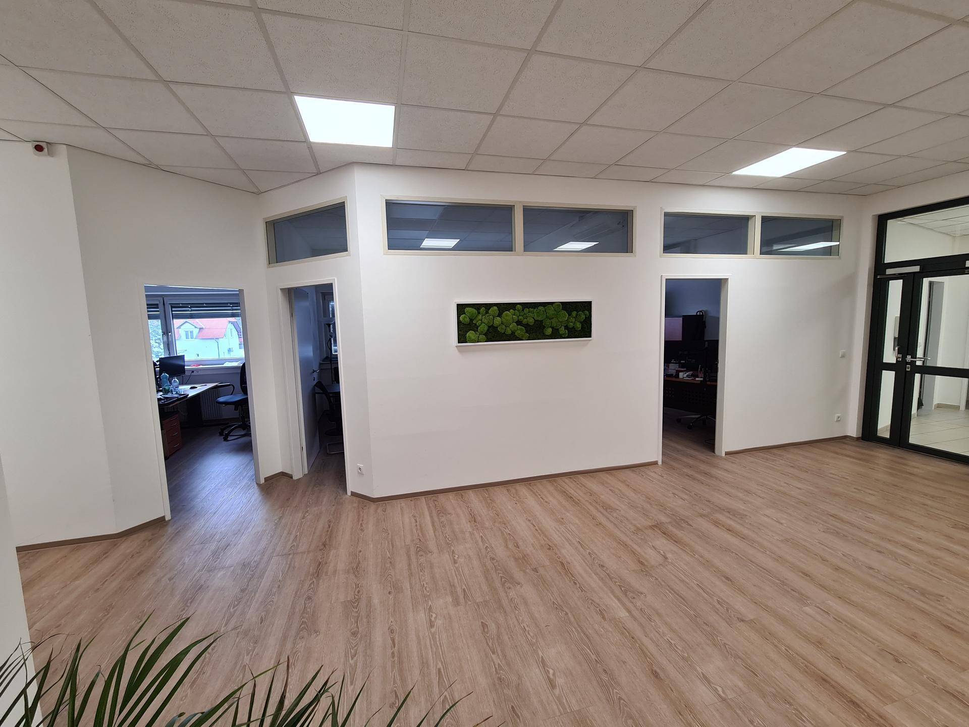Moderner Empfangsbereich mit Laminatboden, weißen Wänden und dekorativer Pflanzenwand.