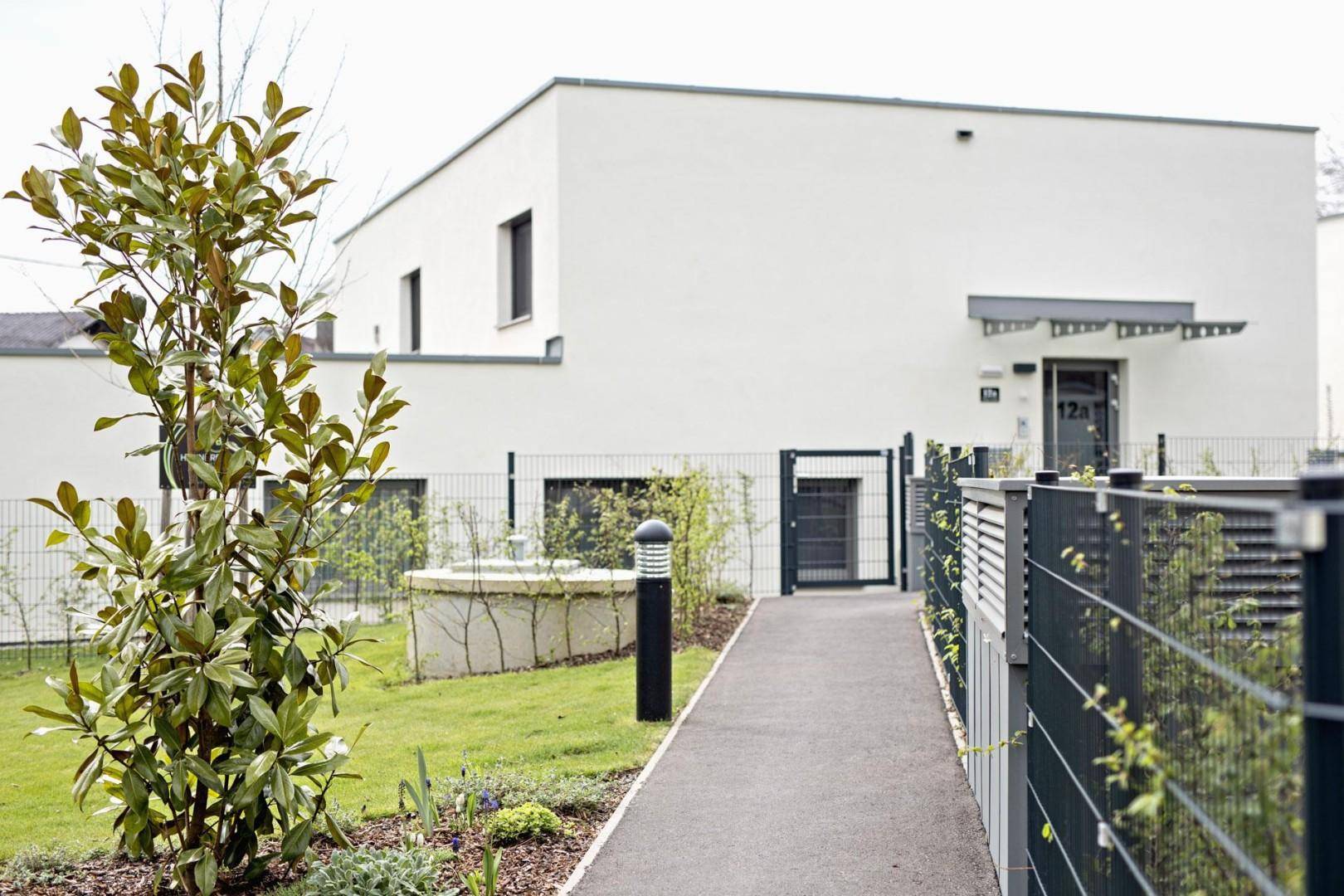 Eingangsbereich eines modernen Gebäudes mit gepflegtem Vorgarten und Gehweg.