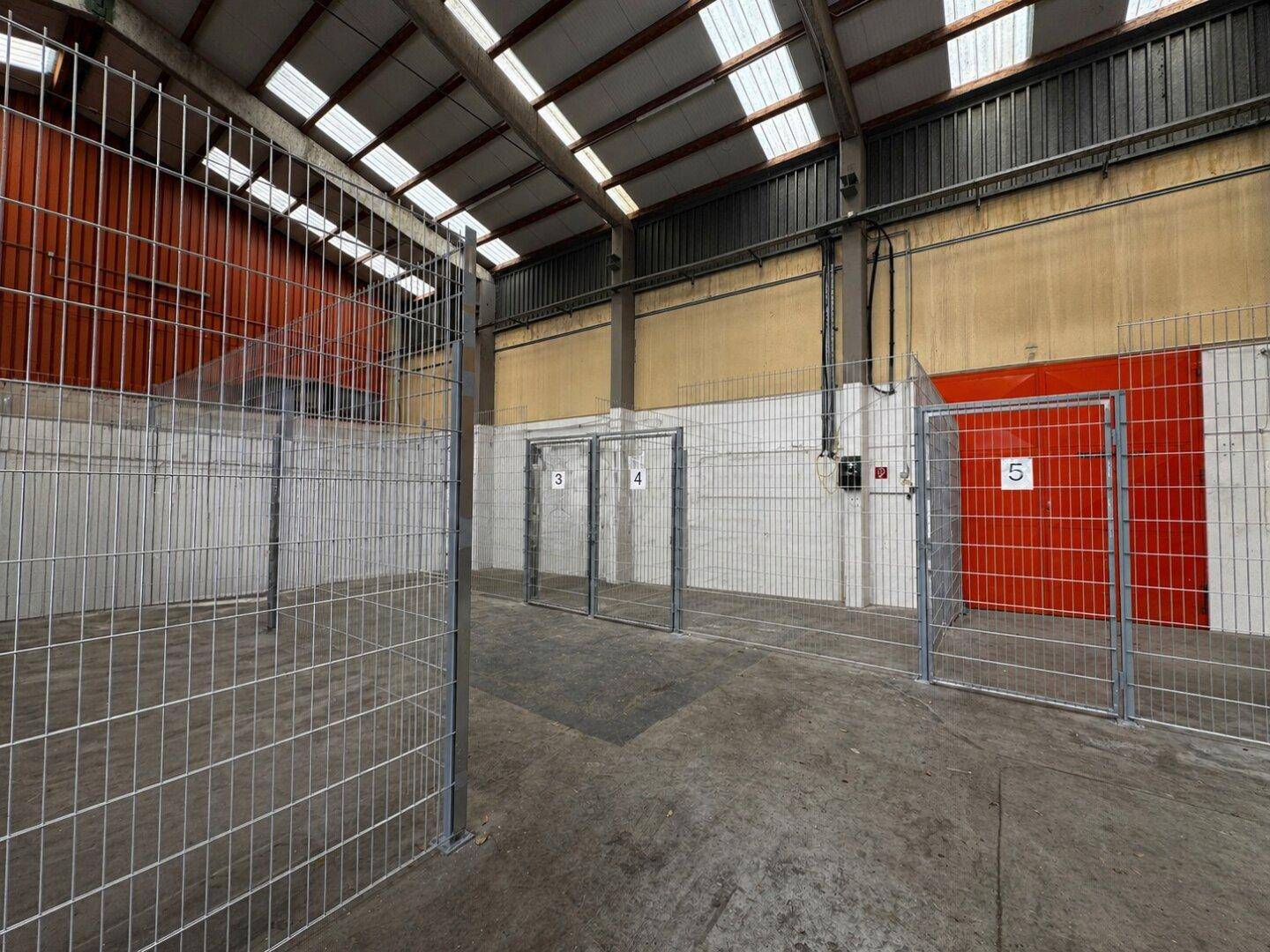 Innenansicht einer Lagerhalle mit individuellen Gitterboxen und Oberlichtern, die für natürliche Beleuchtung sorgen.