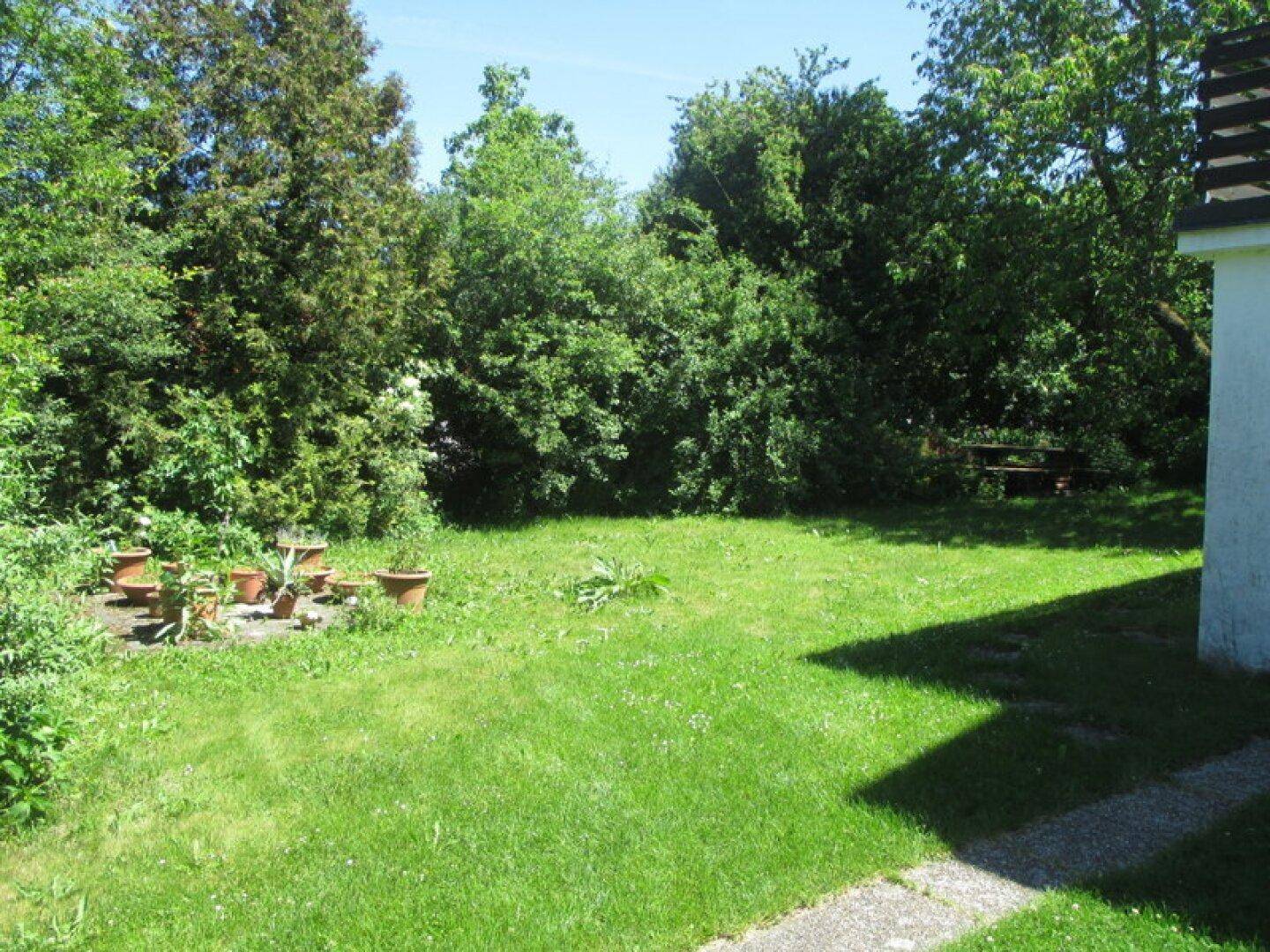Charmantes Einfamilienhaus mit riesigem Garten - 3 Geh-Minuten von der Thaya - Ansicht 3