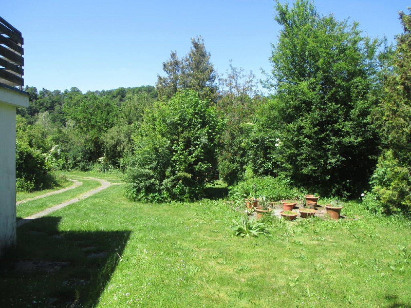 Charmantes Einfamilienhaus mit riesigem Garten - 3 Geh-Minuten von der Thaya - Ansicht 4