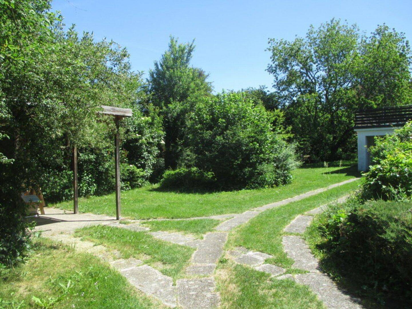 Charmantes Einfamilienhaus mit riesigem Garten - 3 Geh-Minuten von der Thaya - Ansicht 5