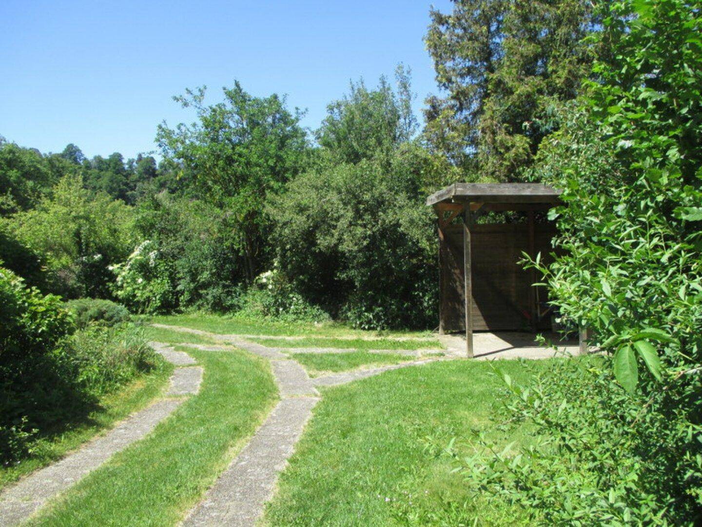 Charmantes Einfamilienhaus mit riesigem Garten - 3 Geh-Minuten von der Thaya - Ansicht 6