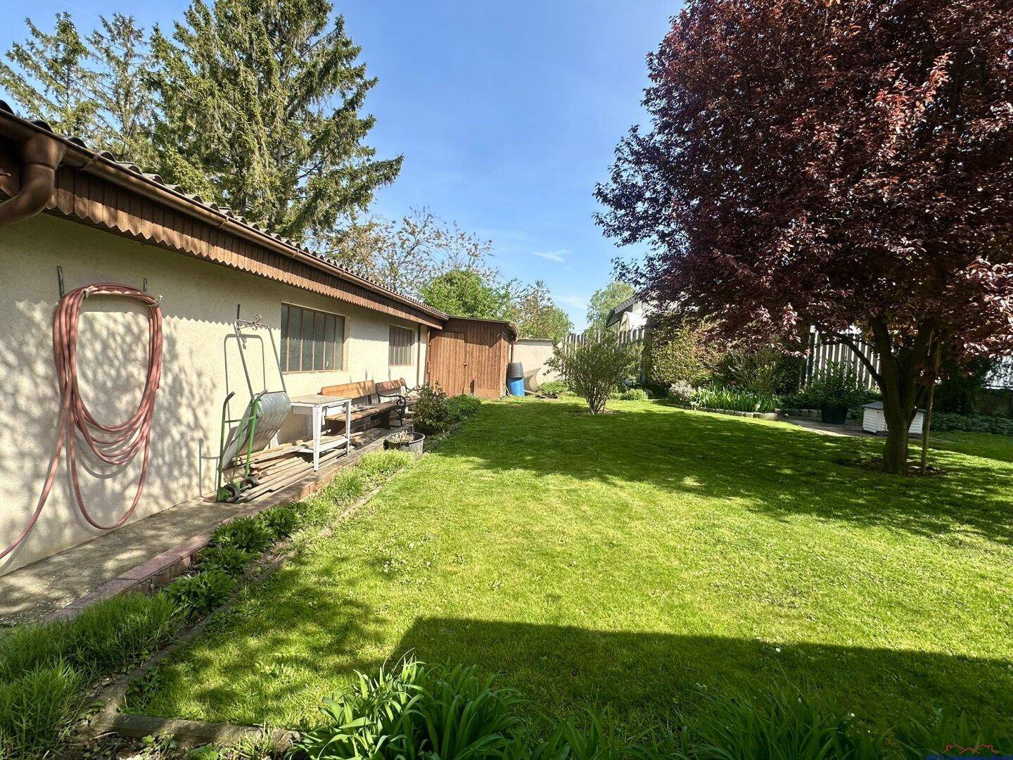 Großer, sonniger Gartenbereich neben dem Haus mit Rasenfläche und Gartenhaus.