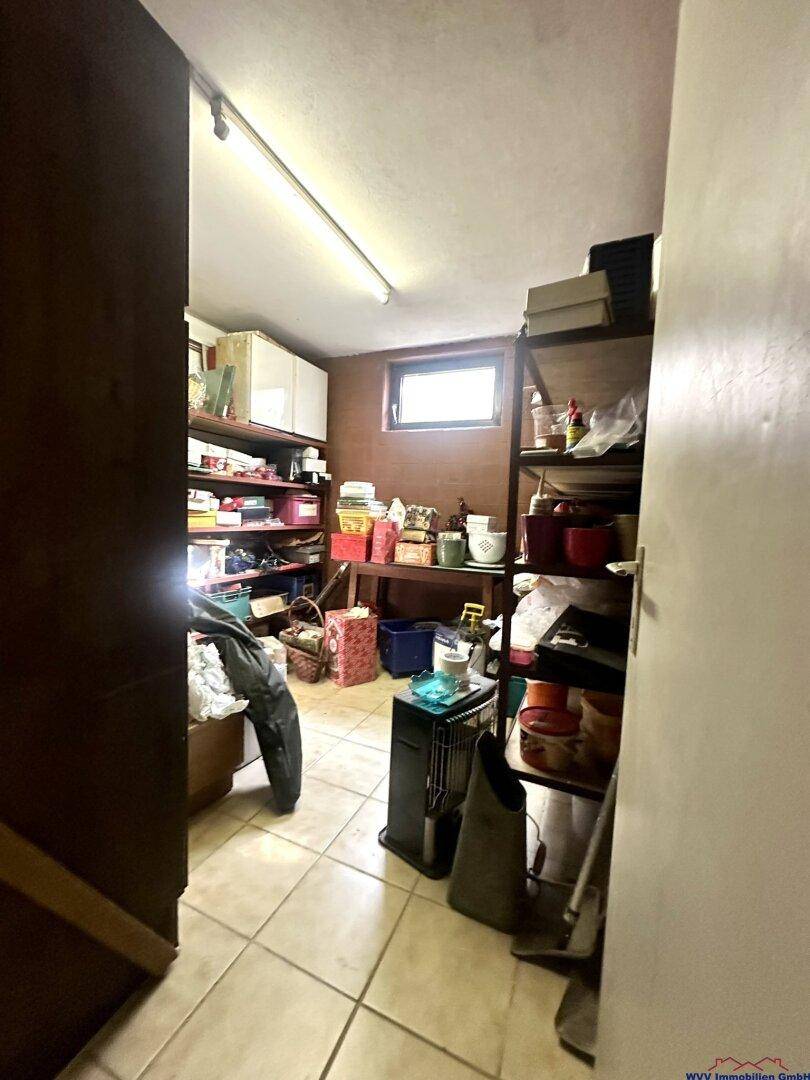 Geräumiger Abstellraum im Keller mit Regalen und Fenster für natürliche Belüftung.