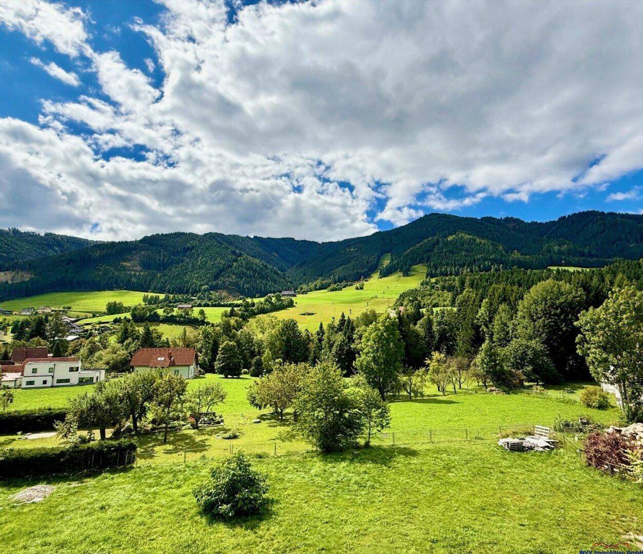 Weitläufiger Blick auf grüne Wiesen, bewaldete Hügel und einen blauen Himmel mit Wolken.