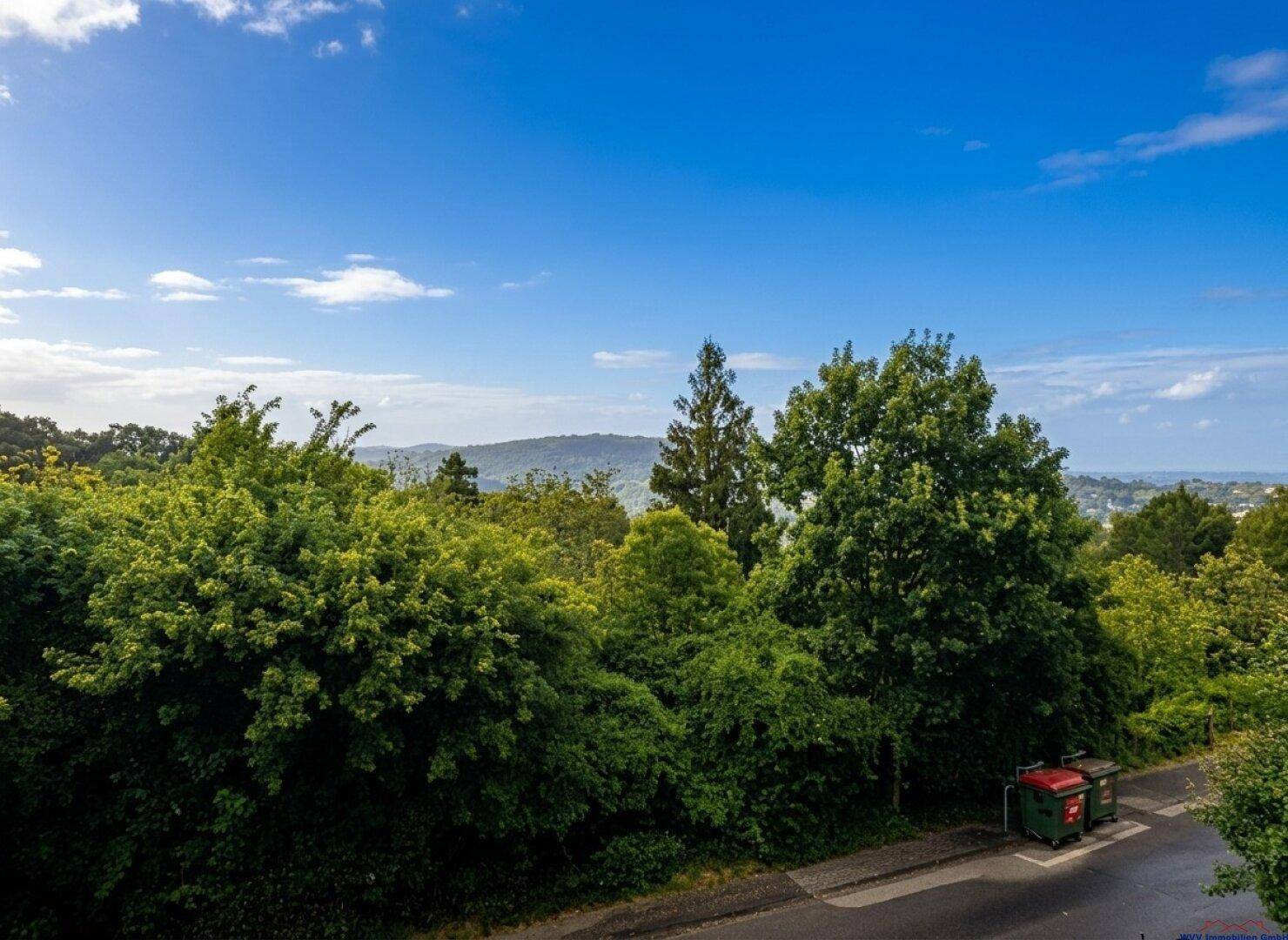 Weitläufiger Blick über grüne Bäume auf eine hügelige Landschaft in der Ferne.