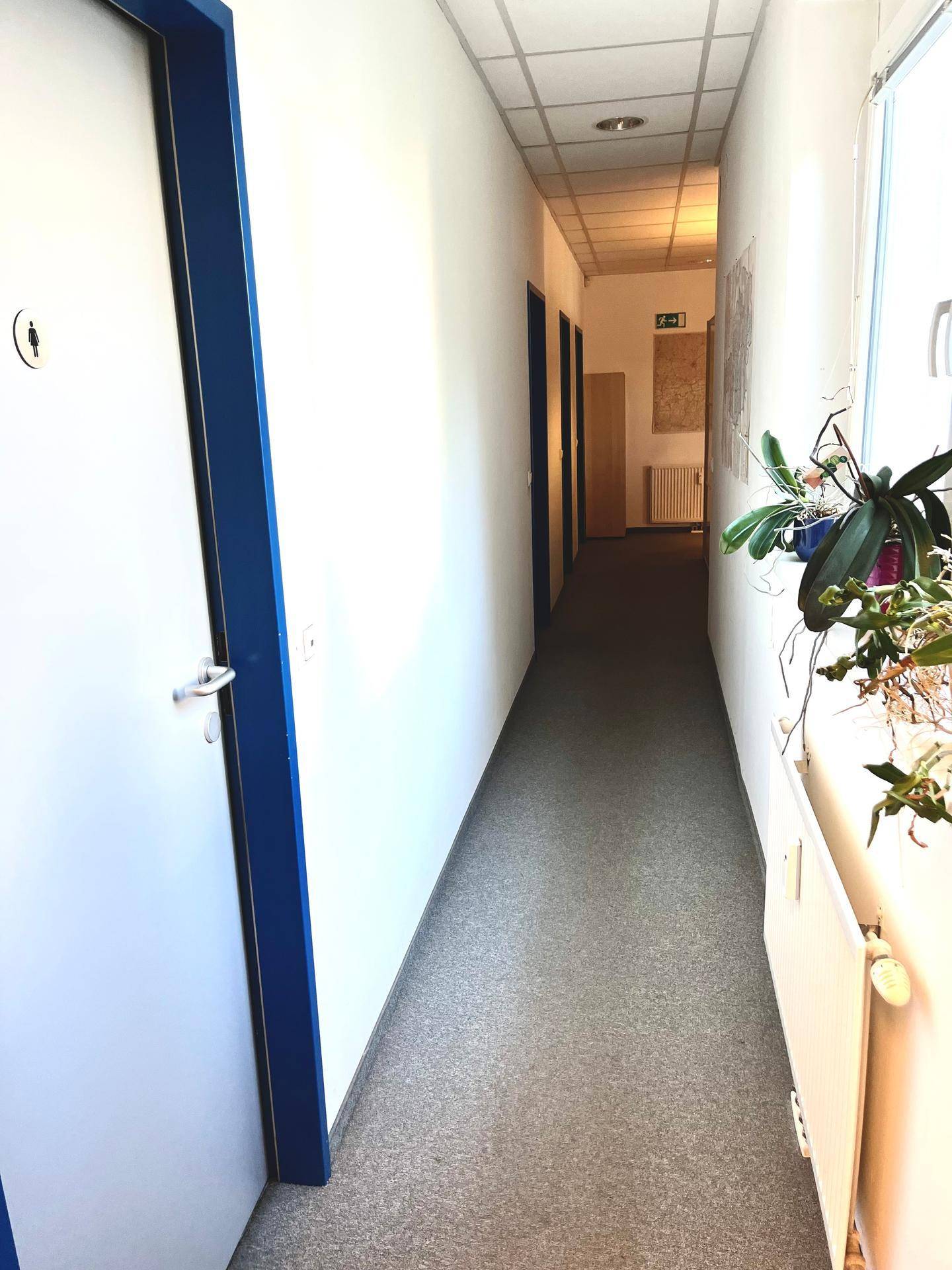 Langer Flur mit mehreren Türen, Teppichboden und einem Heizkörper an der Wand.