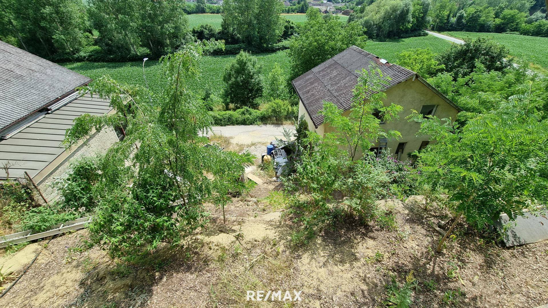 Ausblick