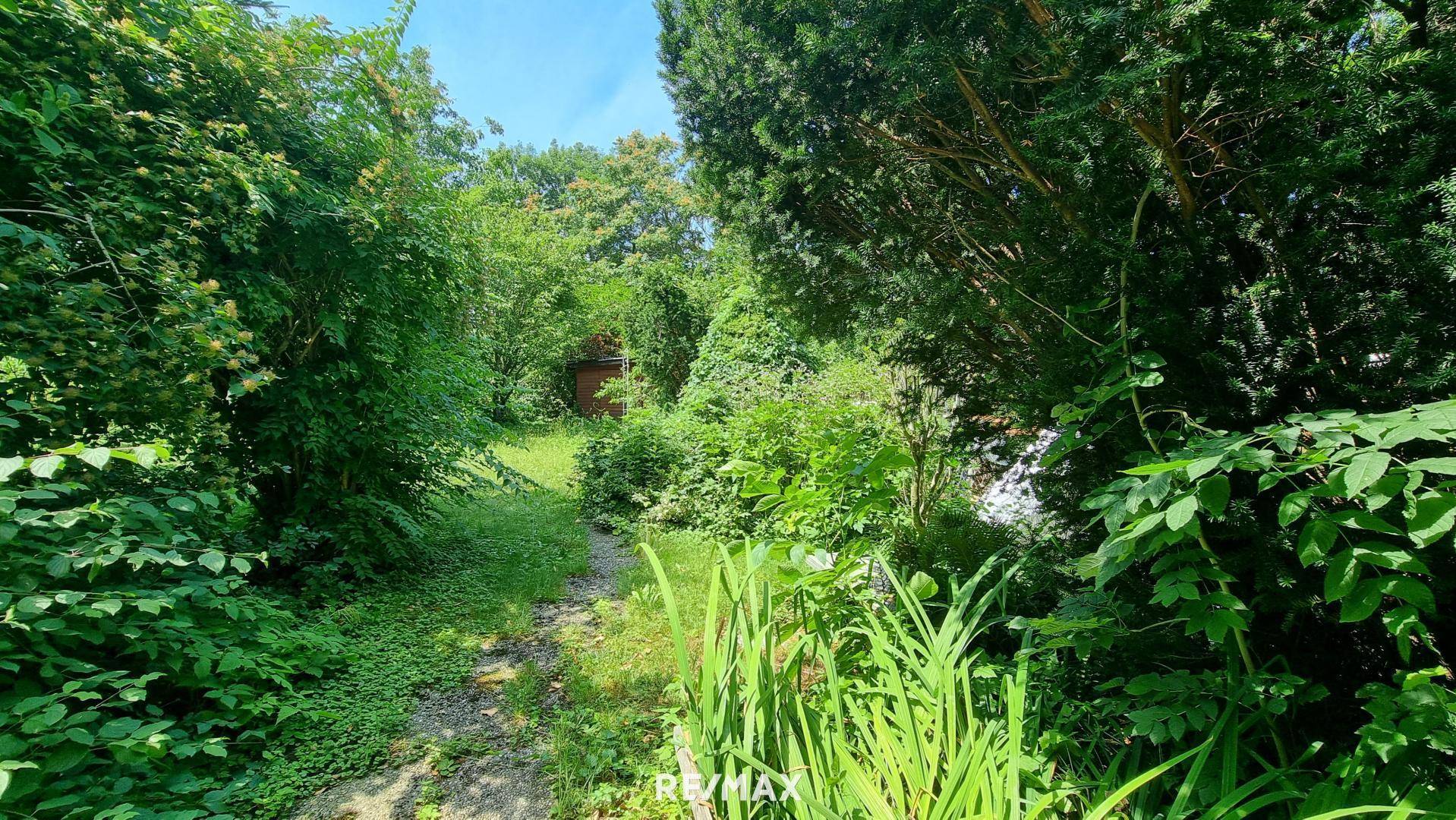 Blick in den Garten