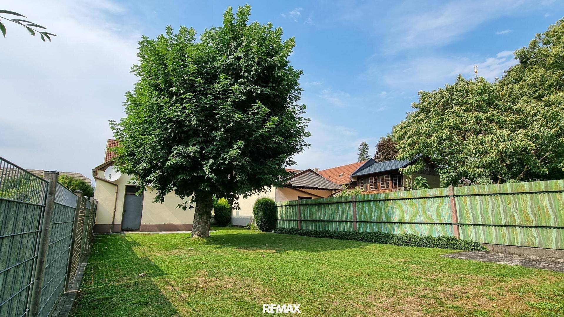 Grüner Garten mit Rasenfläche und einem großen Baum unter blauem Himmel.