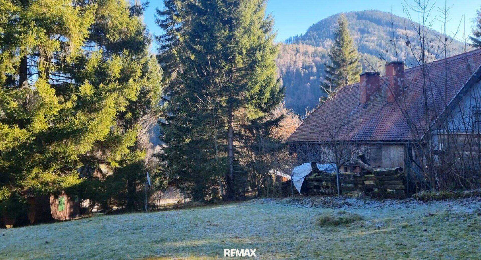 Winterliche Außenansicht des Hauses mit schneebedecktem Rasen und hohen Bäumen.