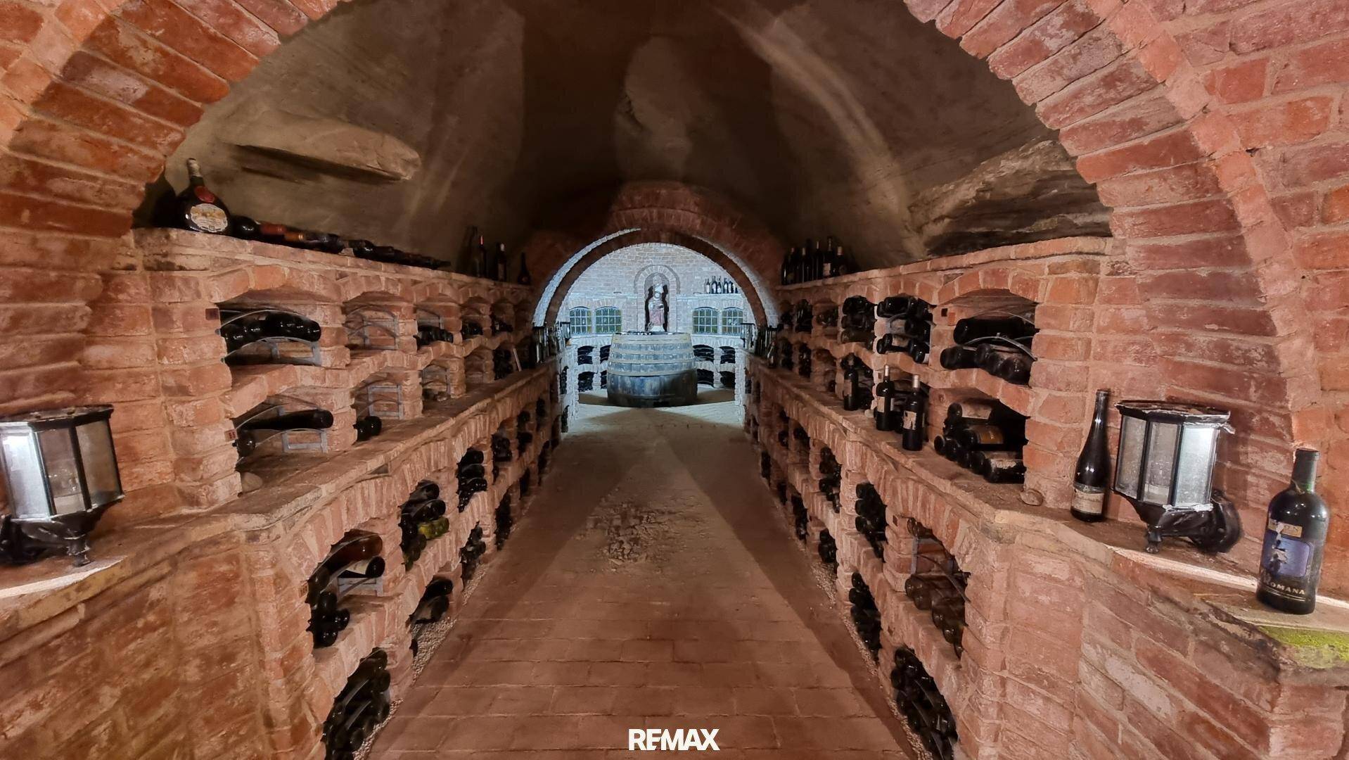 Historischer Weinkeller mit langen Reihen von Weinregalen und einem gewölbten Durchgang am Ende.