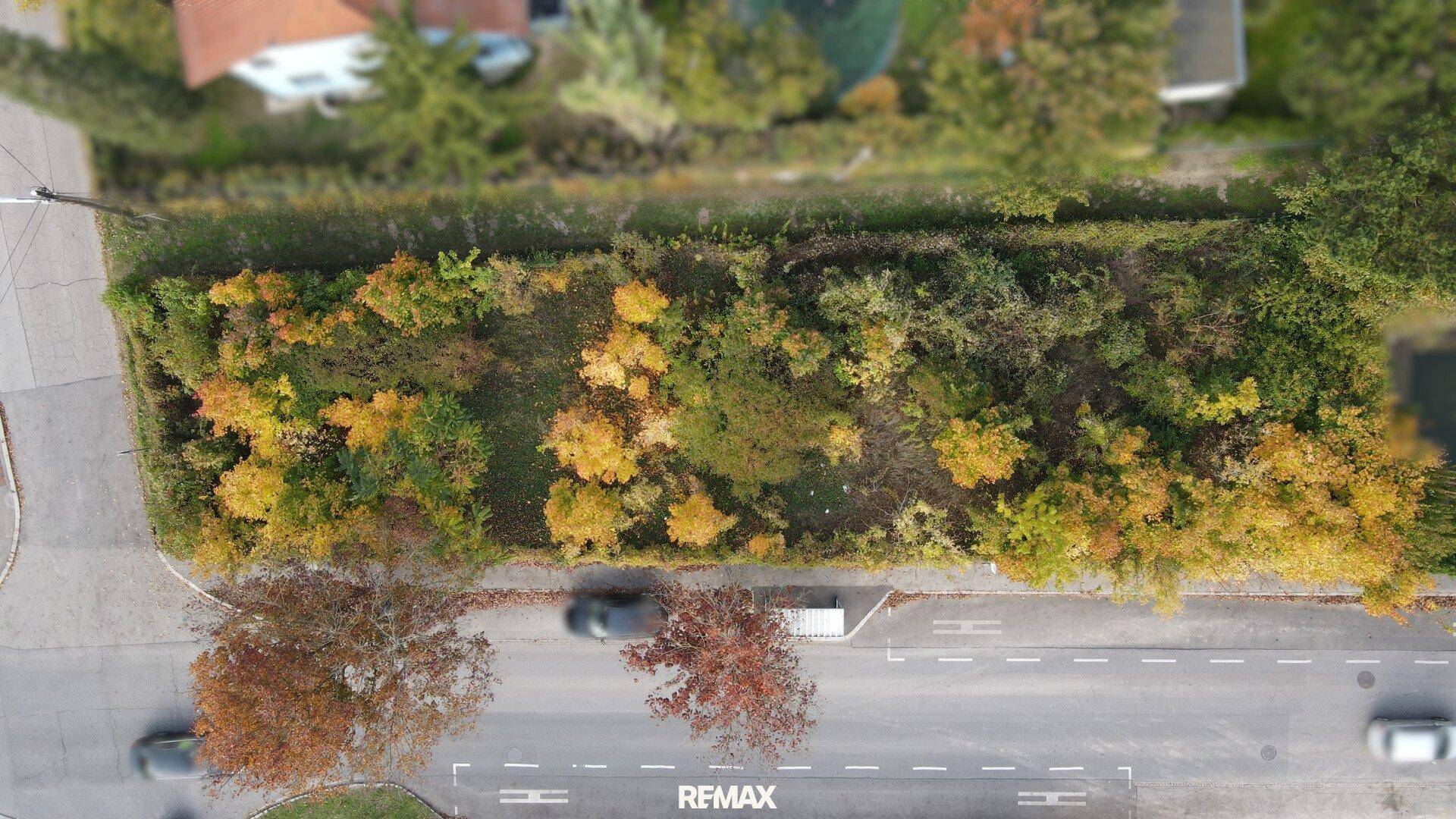 Luftbild eines langgestreckten Grundstücks mit herbstlicher Vegetation und einer Straße im Vordergrund.