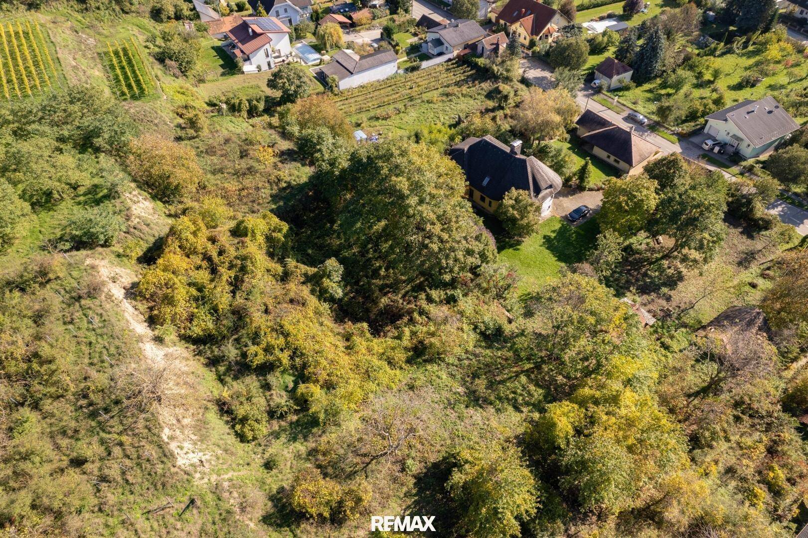 Weitläufige Luftaufnahme des Anwesens, umgeben von viel Grün und angrenzenden Weinbergen.