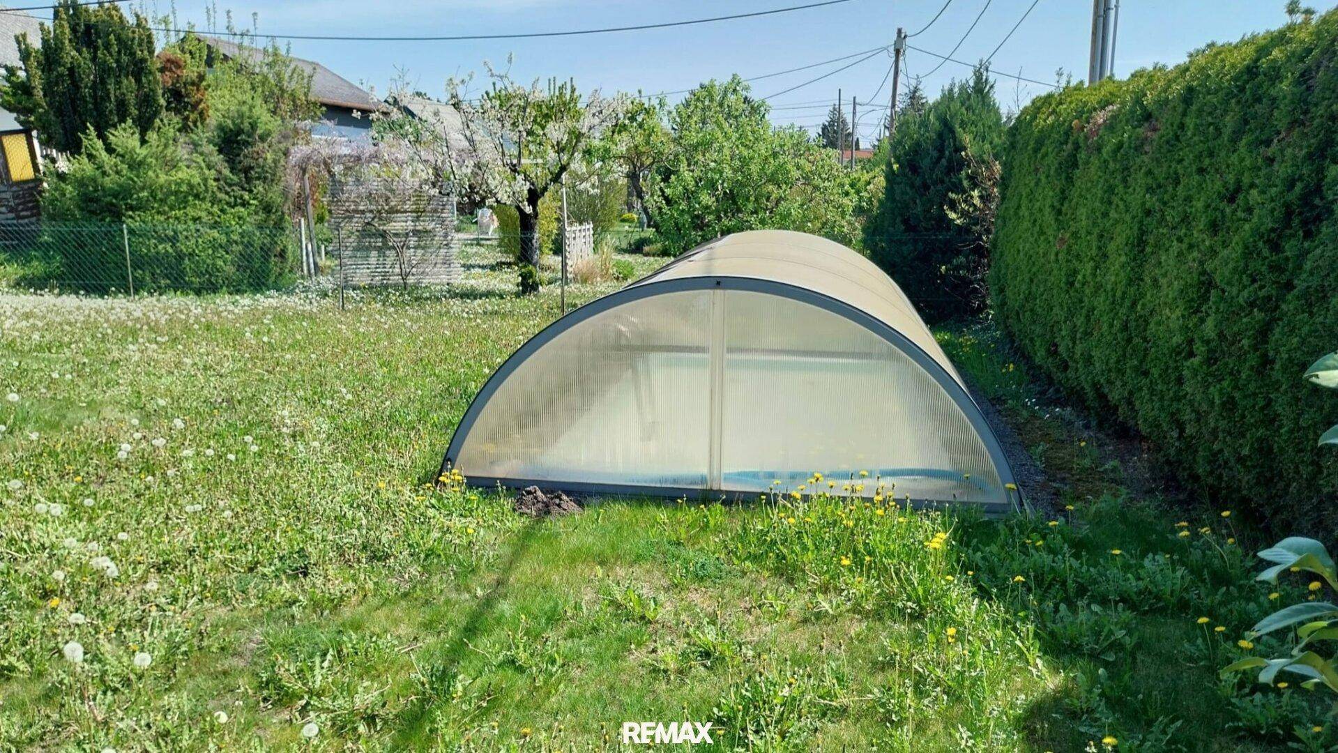 Gartenbereich mit Rasen, blühenden Pflanzen und einem praktischen Gewächshaus.