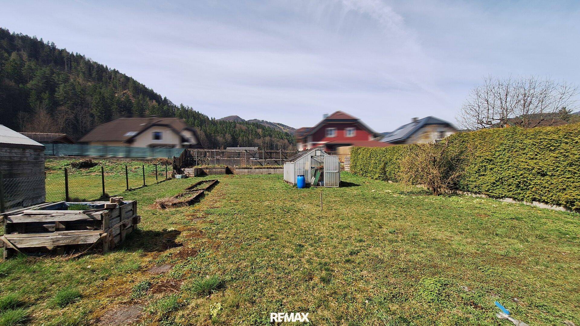 Großer, gepflegter Garten mit Rasenfläche, Hecke und kleinem Gewächshaus.