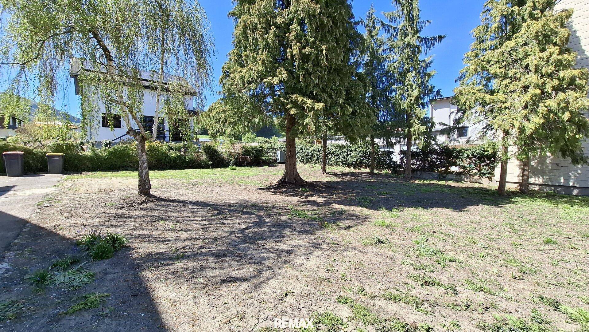 Großer, unmöblierter Gartenbereich mit Bäumen und Rasenfläche, umgeben von anderen Gebäuden.