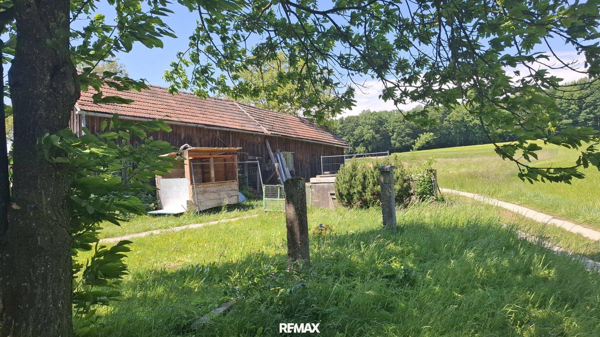 Rustikales Holzgebäude mit Ziegeldach, umgeben von einer grünen Wiese und Bäumen im Sonnenschein.