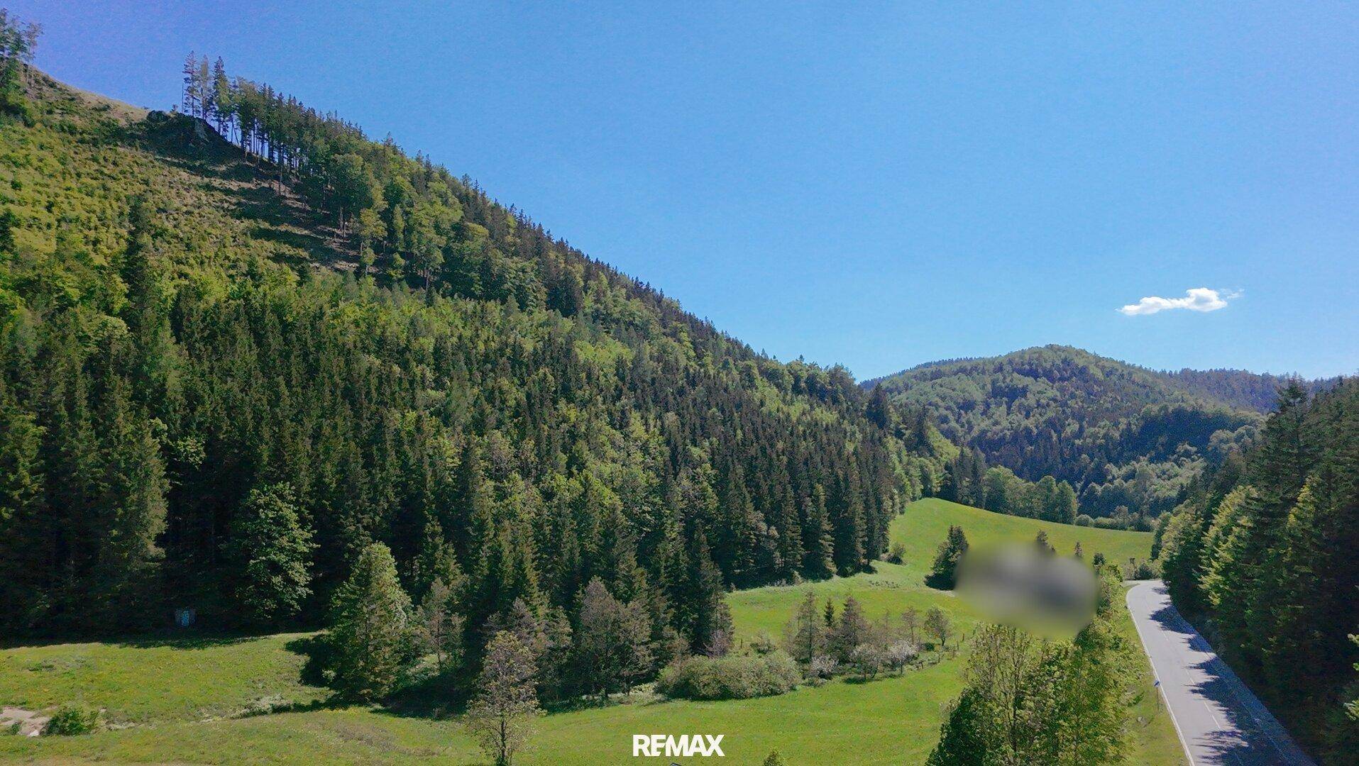 Weitläufige Landschaftsaufnahme mit grünen Wäldern, Hügeln und einer Landstraße.