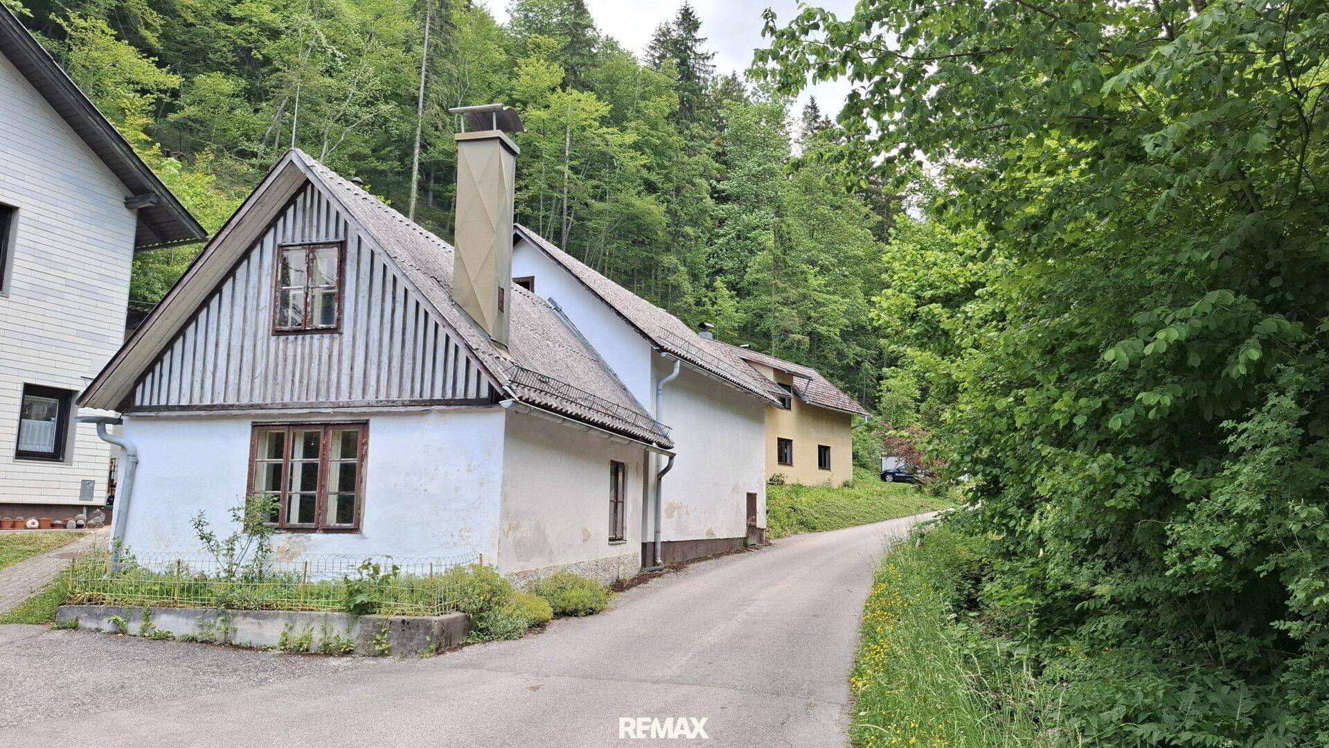 Ländliche Szene mit mehreren Häusern entlang einer Straße, umgeben von viel Grün.