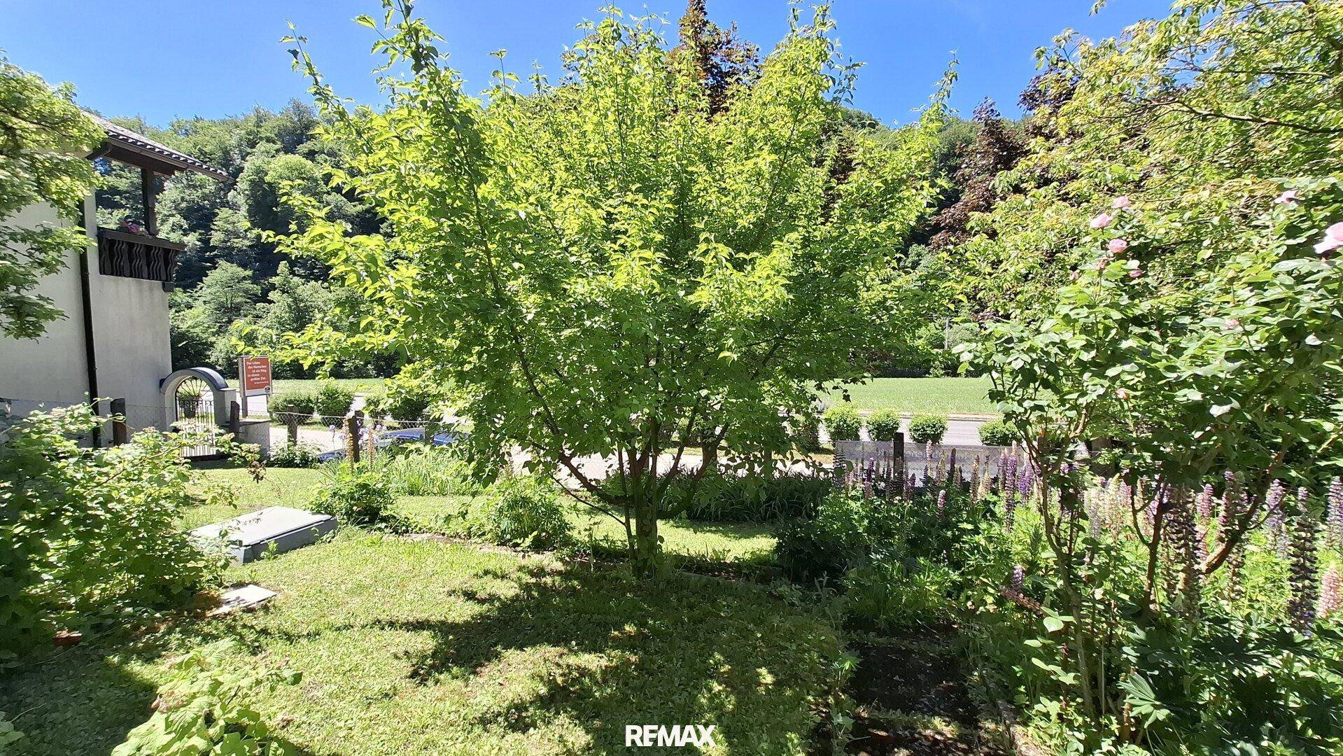 Grüner Gartenbereich mit verschiedenen Bäumen und Sträuchern unter blauem Himmel.