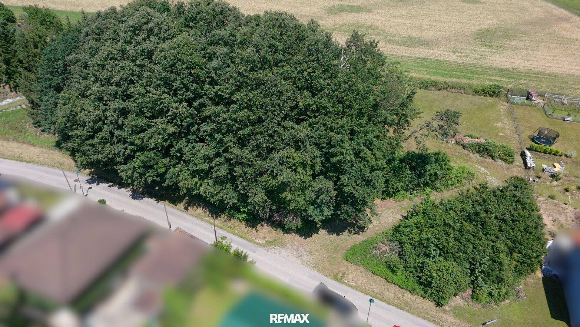 Baugrundstück in attraktiver Lage in 3040 Neulengbach - Ansicht 2