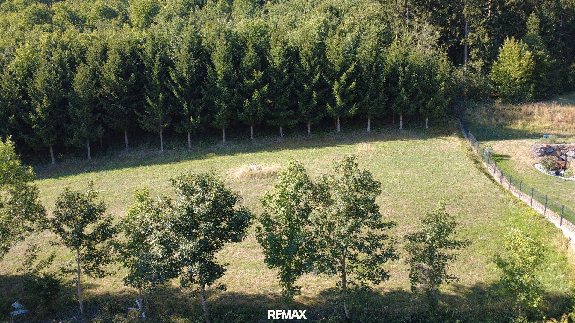 Luftaufnahme einer weitläufigen Wiese mit Baumreihen und einem eingezäunten Bereich im Hintergrund.