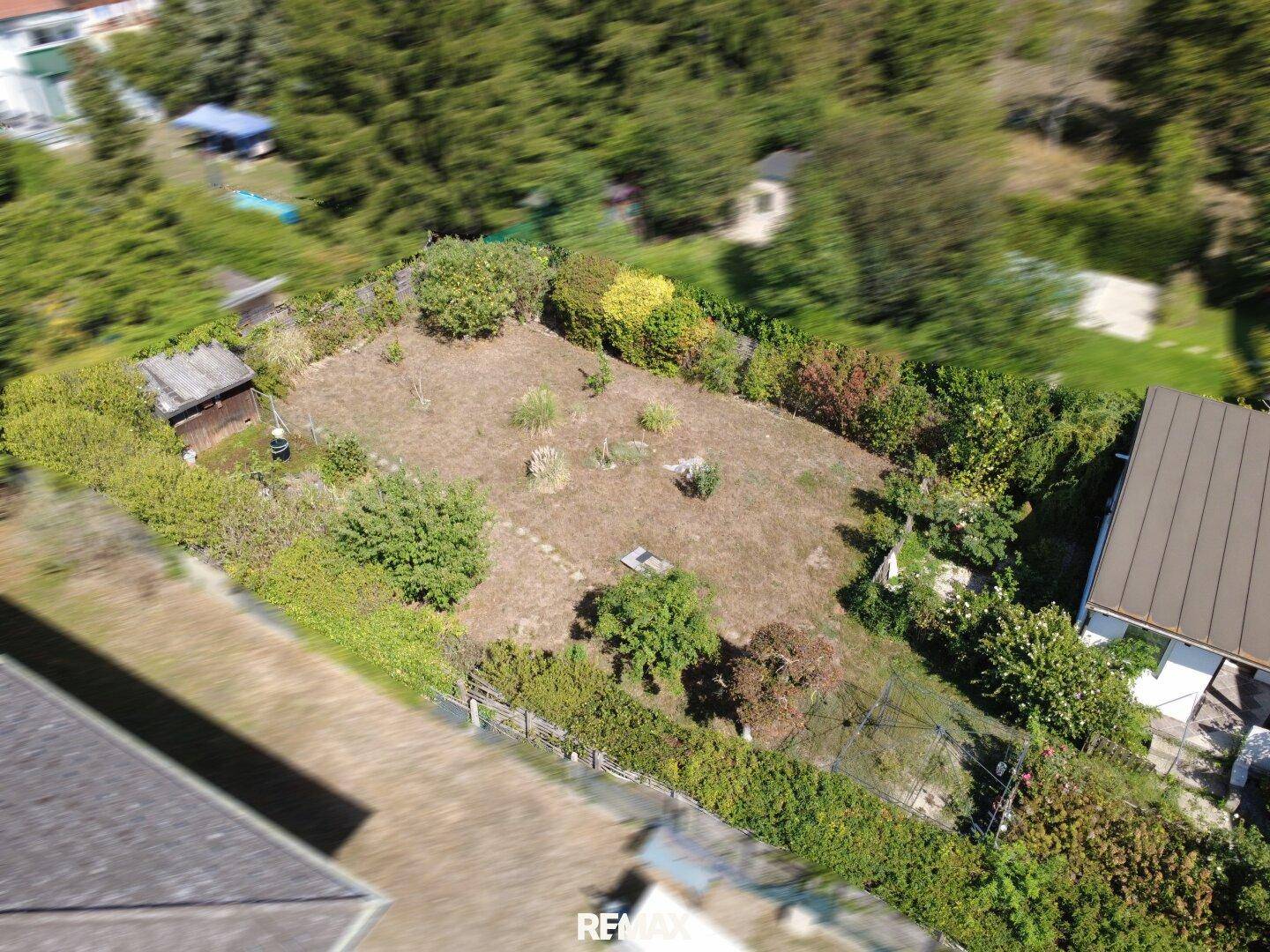 Großer, naturbelassener Gartenbereich mit Bäumen und Sträuchern, ideal für die Gestaltung.