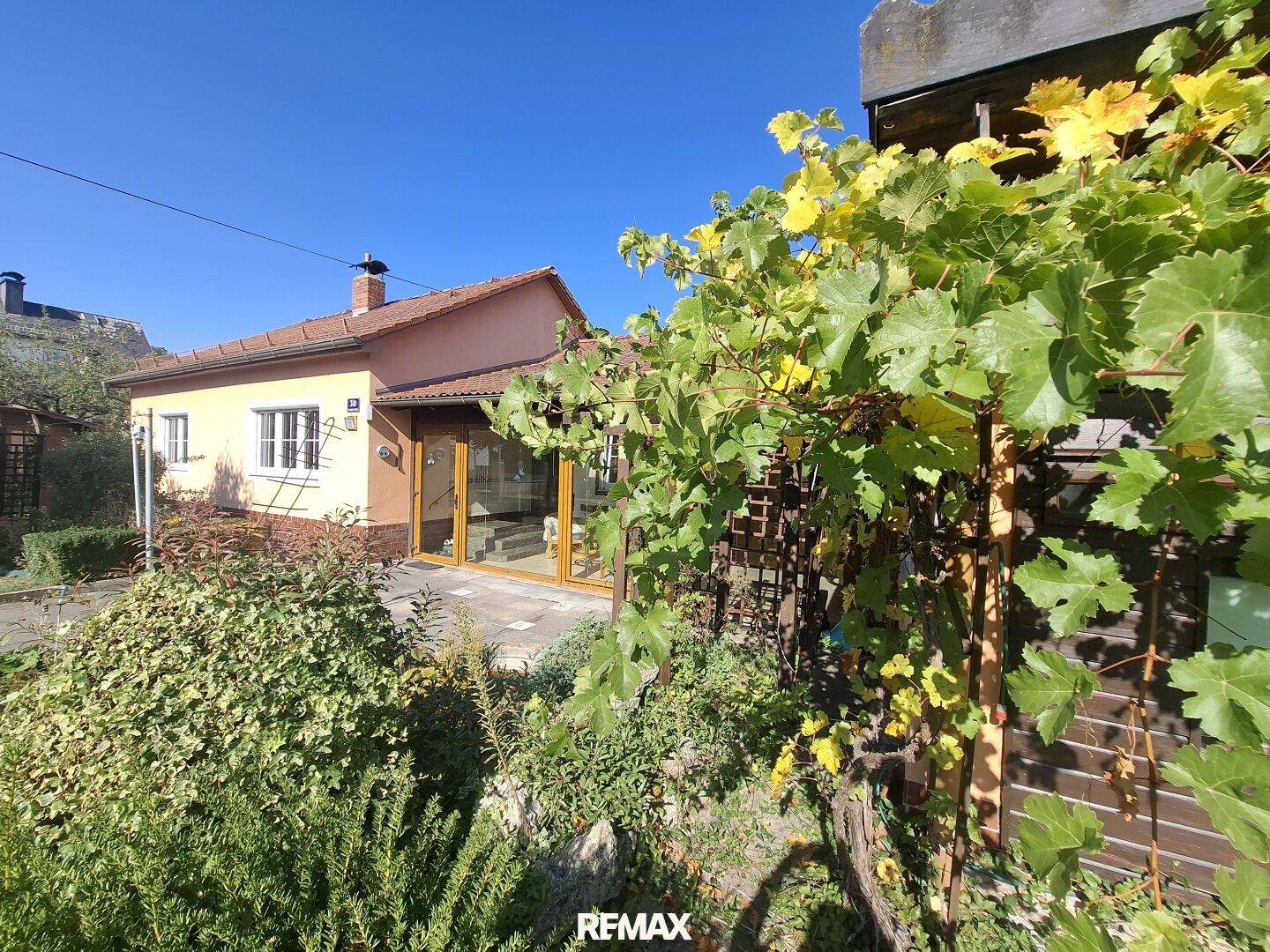 Hausansicht vom Garten aus mit üppiger Vegetation und sonnigem Wintergartenbereich.