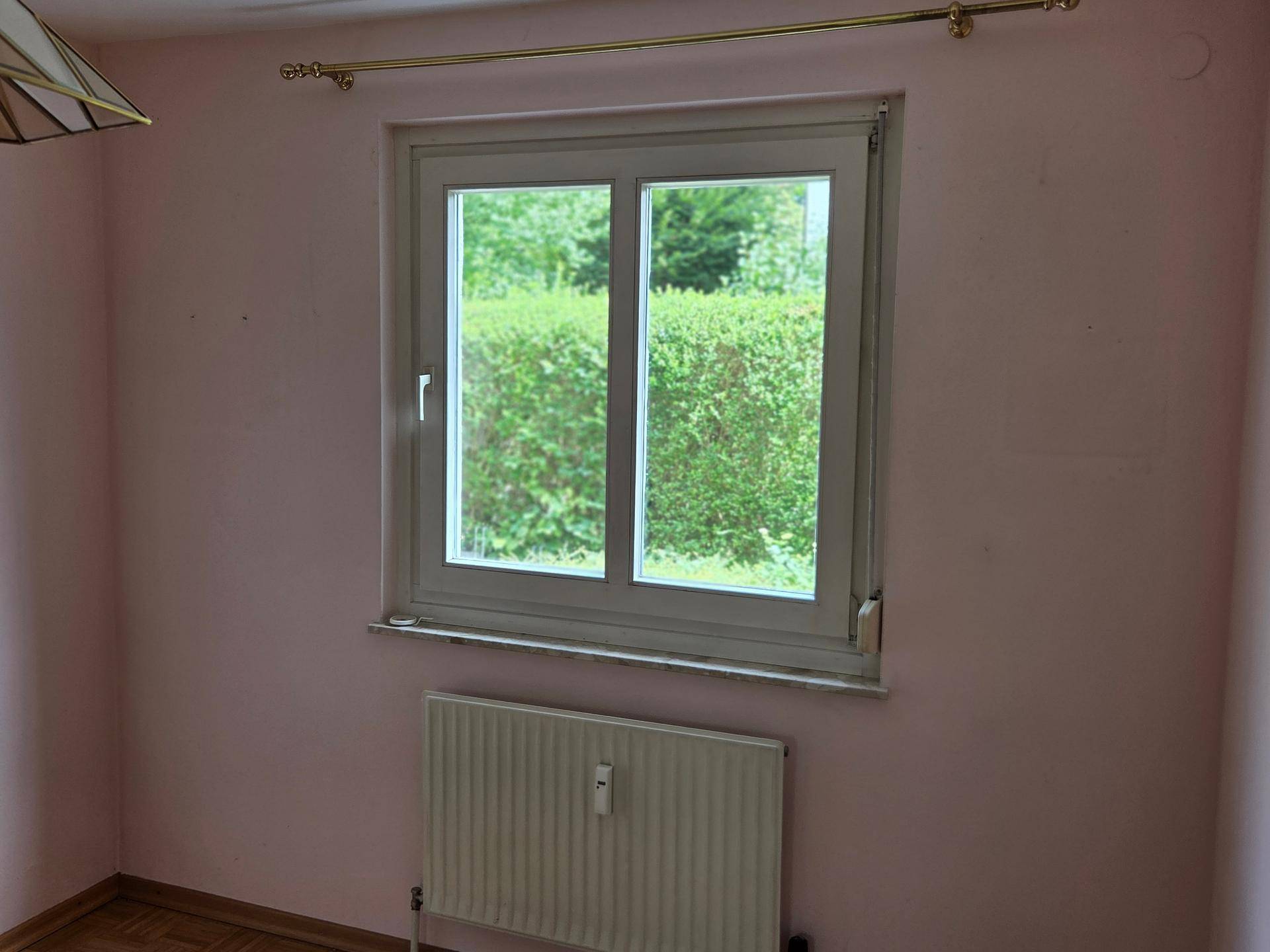 Fenster in einem Zimmer mit rosa Wänden, Blick auf Hecken und Heizkörper darunter.