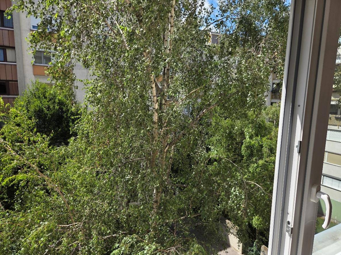 Blick aus dem Fenster auf üppiges Grün und Bäume, die eine natürliche Umgebung schaffen.