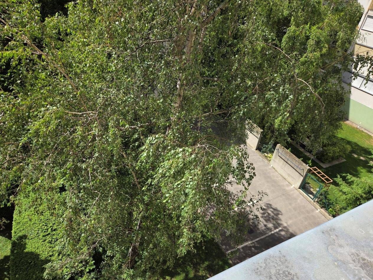 Aussicht vom Balkon auf grüne Bäume und einen gepflasterten Bereich mit Zaun.