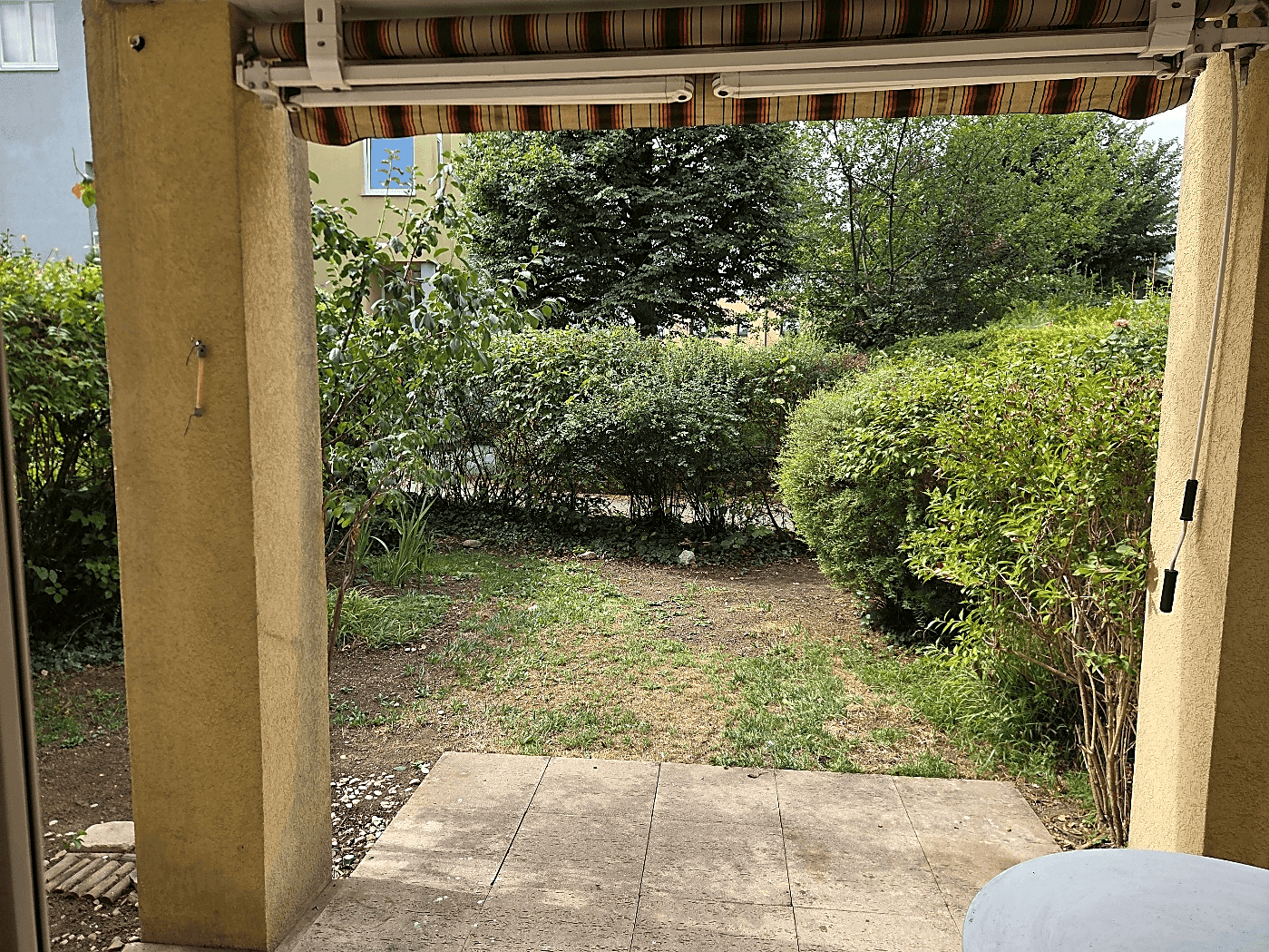 Blick von der Terrasse in den kleinen, gepflegten Gartenbereich mit Hecken und Bäumen.