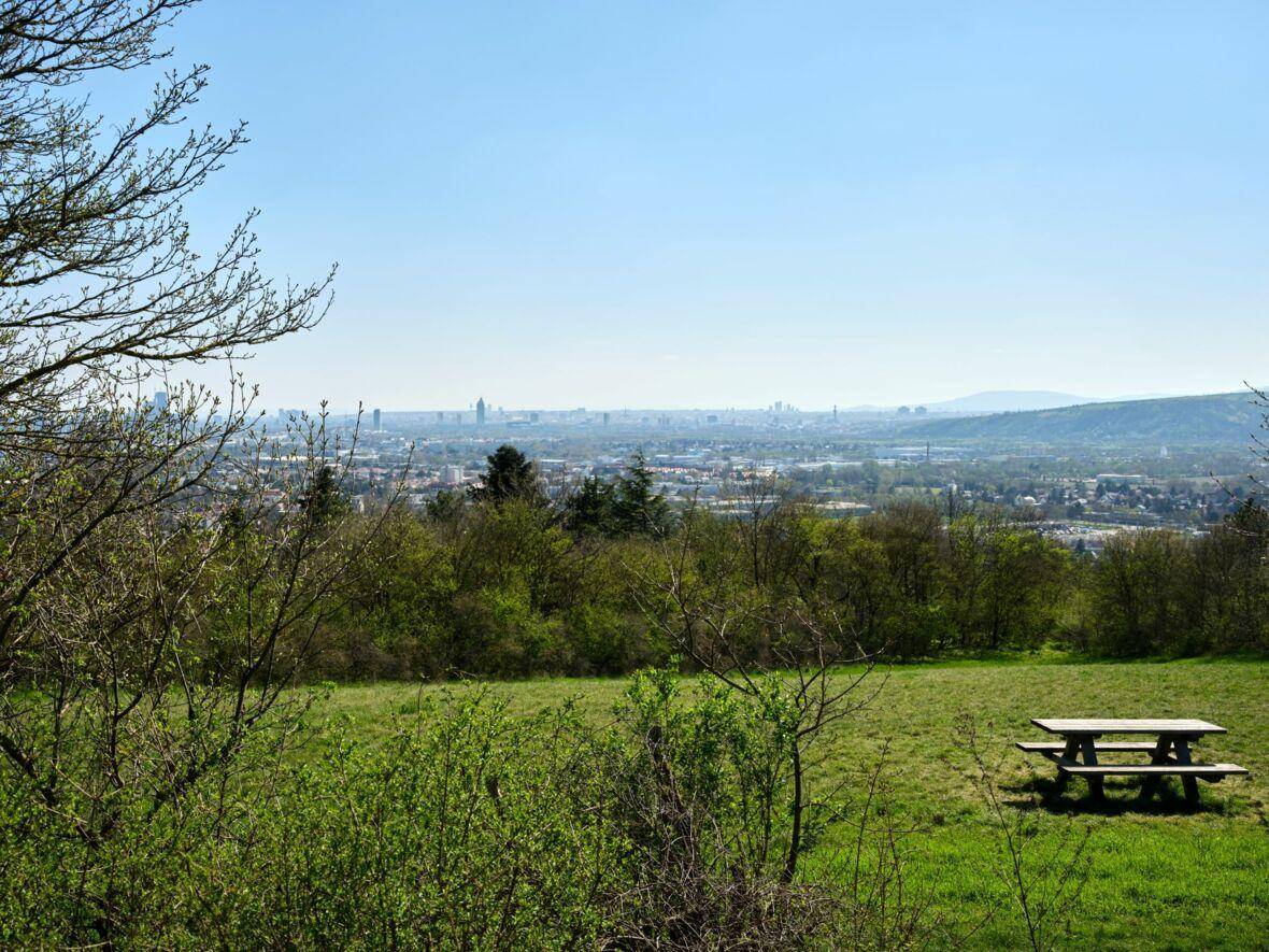 Weitläufiger Blick über eine grüne Landschaft auf die Stadt in der Ferne.