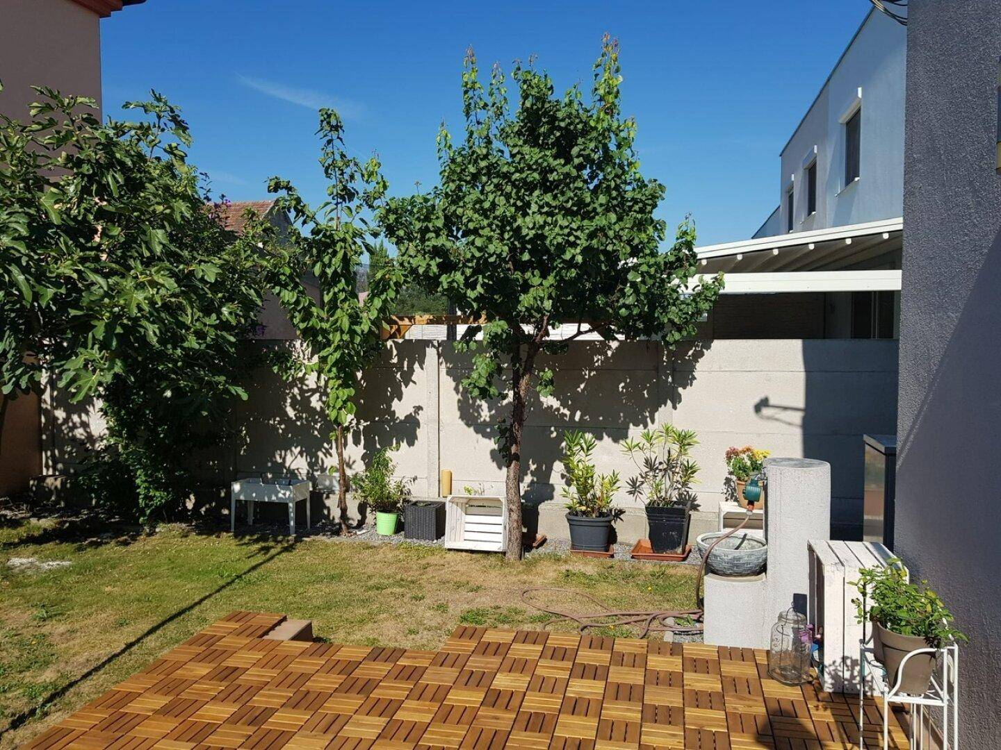 Sonniger Gartenbereich mit Rasen, Obstbäumen und einer Holzterrasse für entspannte Stunden.