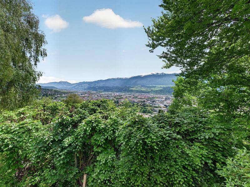 Panoramablick auf die Stadt und die Berge, eingerahmt von üppigem Grün der Bäume.