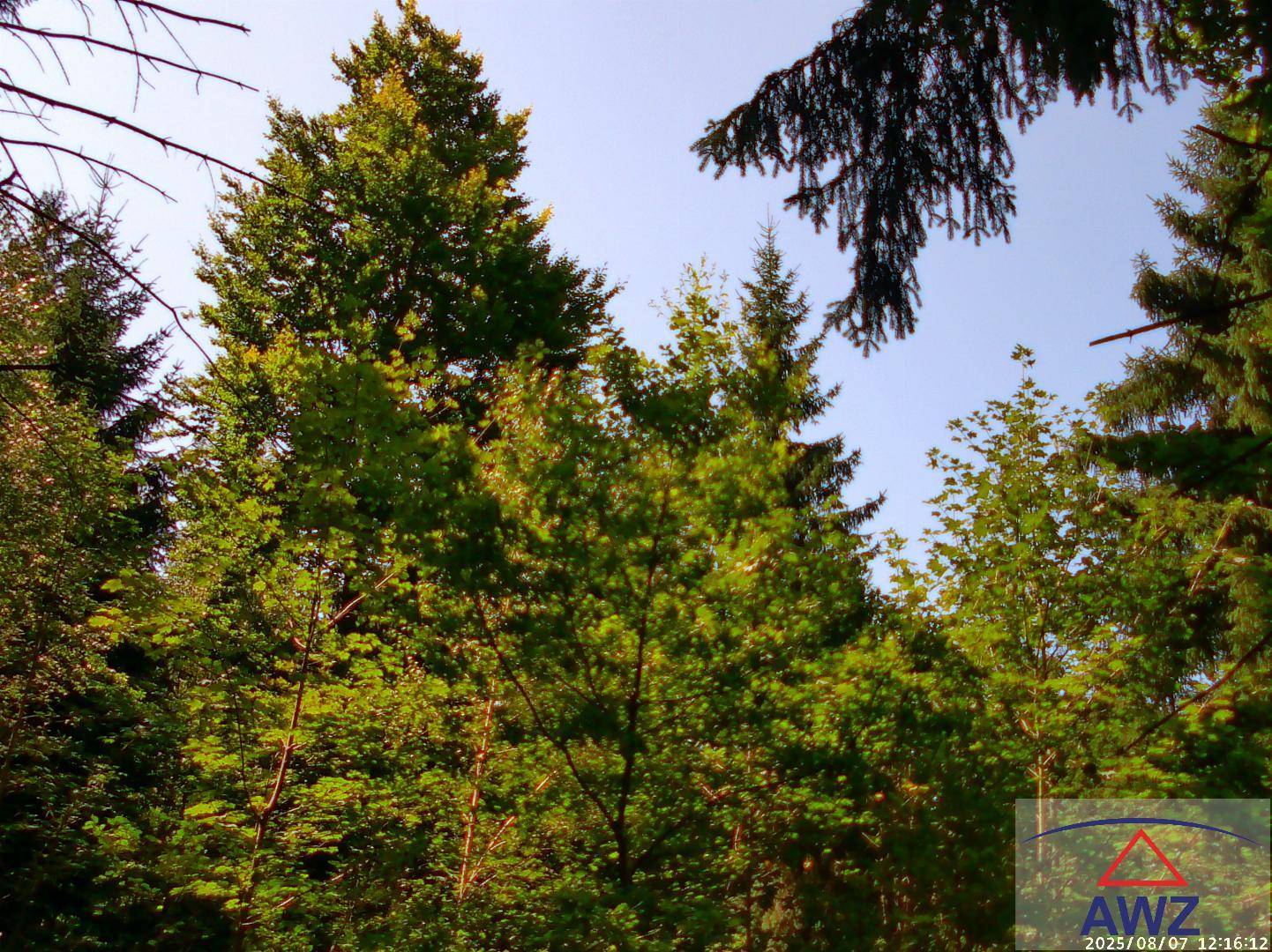 Slide 4
