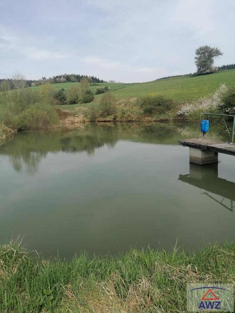 Breiter Blick auf den Teich mit einem Holzsteg und der umliegenden grünen Hügellandschaft.