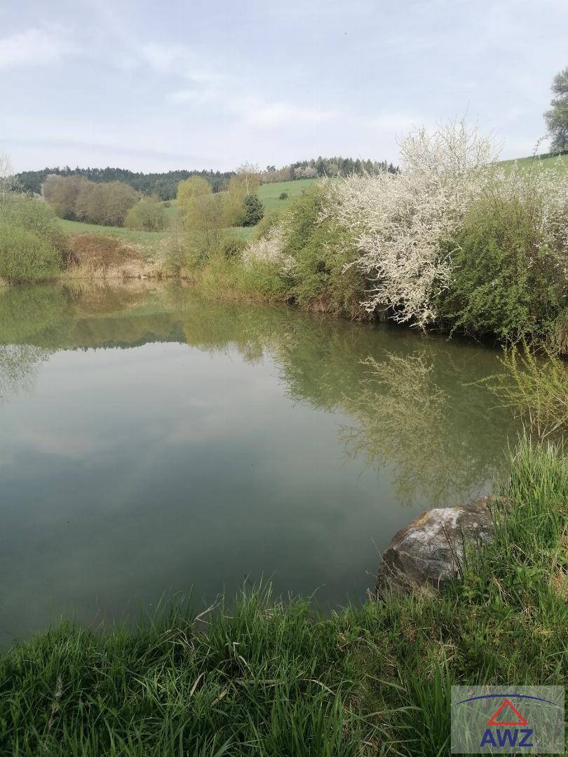 Idyllischer Teich mit einem Felsen am Ufer, blühenden Sträuchern und grünen Hügeln im Hintergrund.