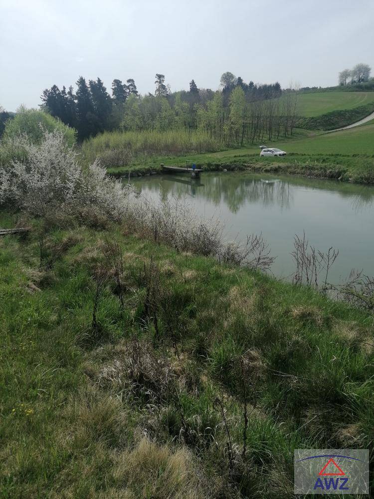 Weitläufige Landschaft mit einem Teich, umgeben von grünen Hügeln und Bäumen unter hellem Himmel.