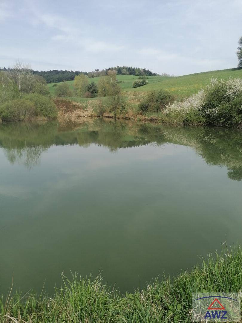 Ruhiger Teich mit spiegelnder Oberfläche, umgeben von sanften grünen Hügeln und üppiger Vegetation.