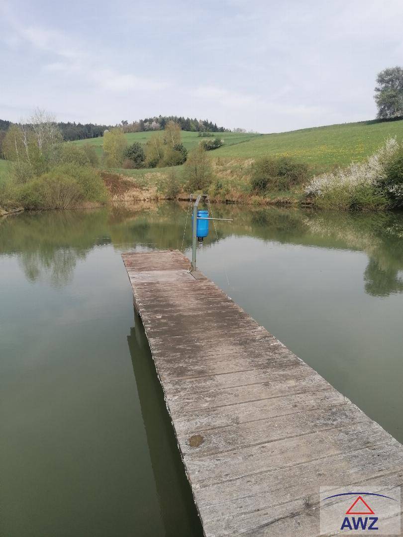 Holzsteg führt in einen ruhigen Teich, umgeben von grünen Hügeln und natürlicher Landschaft.
