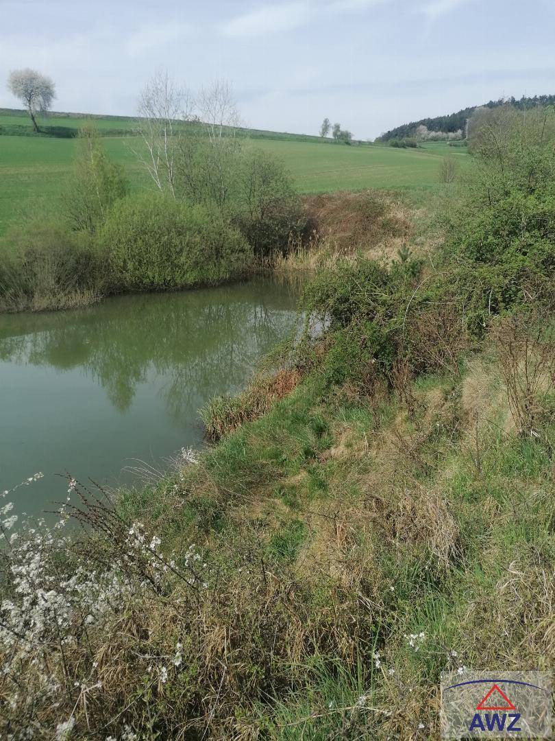 Teichufer mit dichter Vegetation und Blick auf die umliegenden grünen Felder und Bäume.