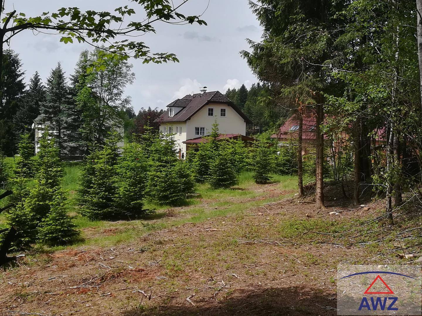Landhaus umgeben von jungen Nadelbäumen und Wald in einer ländlichen Umgebung.