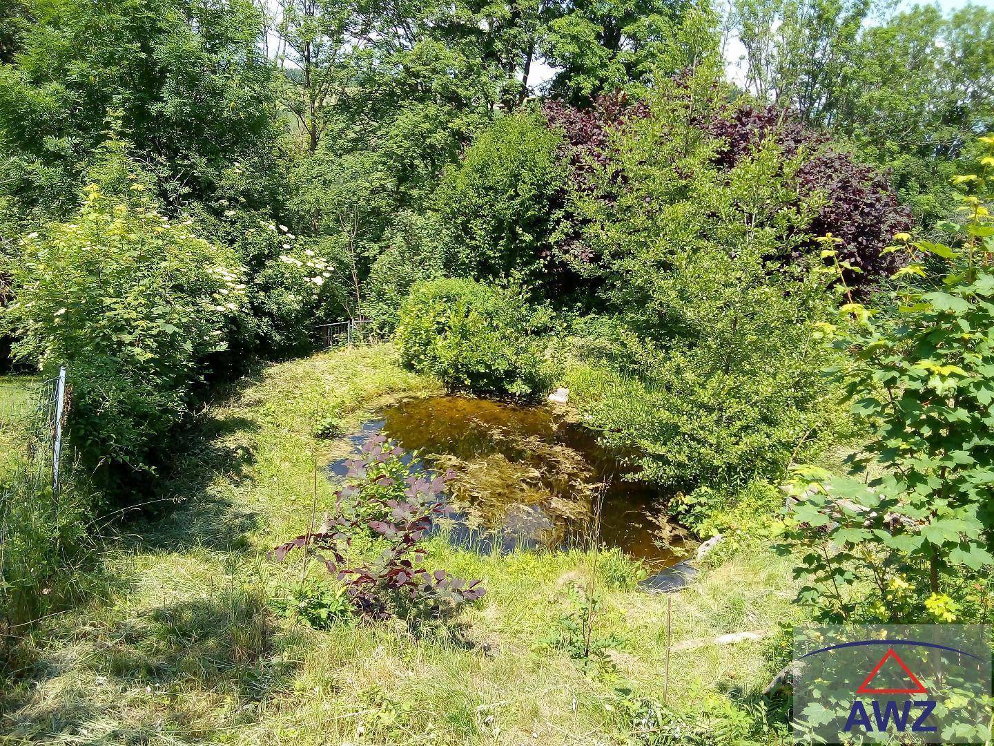 Natürlicher Gartenteich umgeben von üppigem Grün und verschiedenen Bäumen an einem sonnigen Tag.