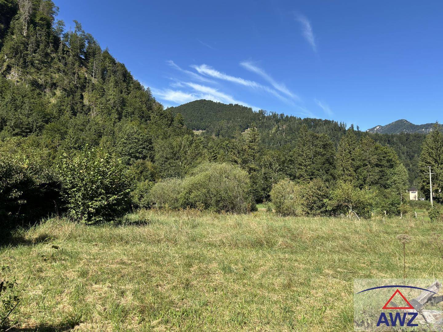 Sonnige Wiese umgeben von dichten Wäldern und majestätischen Bergen unter blauem Himmel.